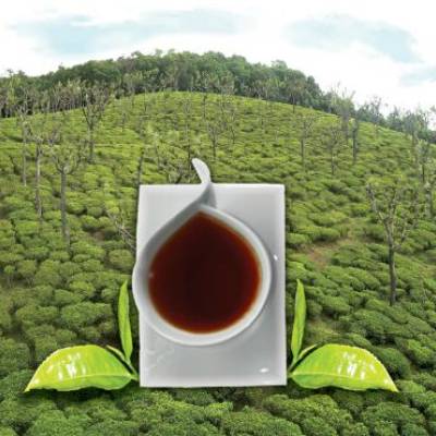 Picture of Loose Leaf Teas
